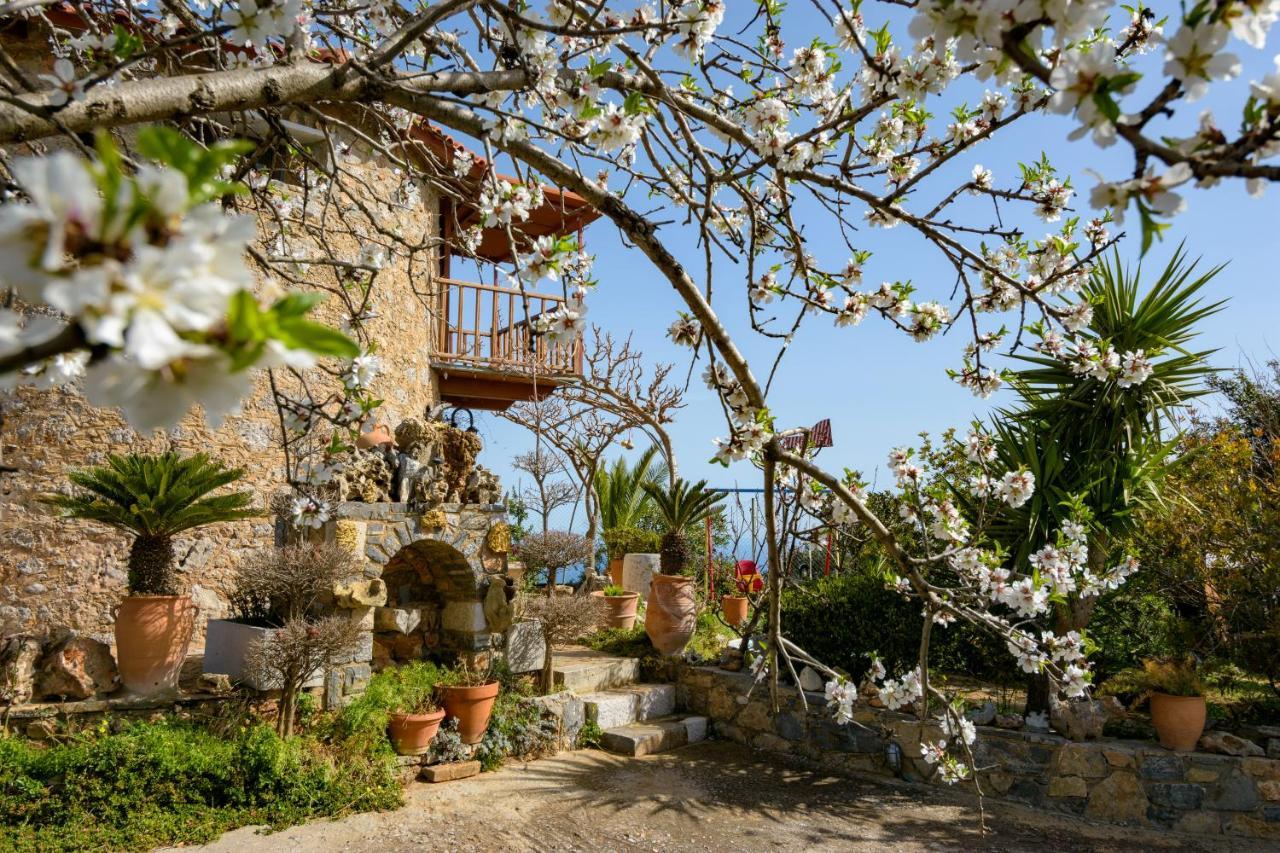Traditional Windmill-Milos Kroustas المظهر الخارجي الصورة